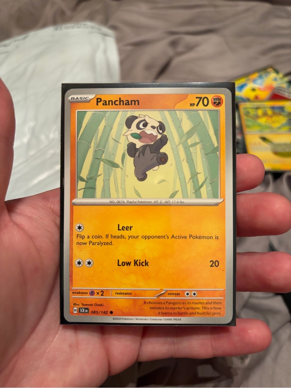 Pancham Pokémon Trading Card - Orange